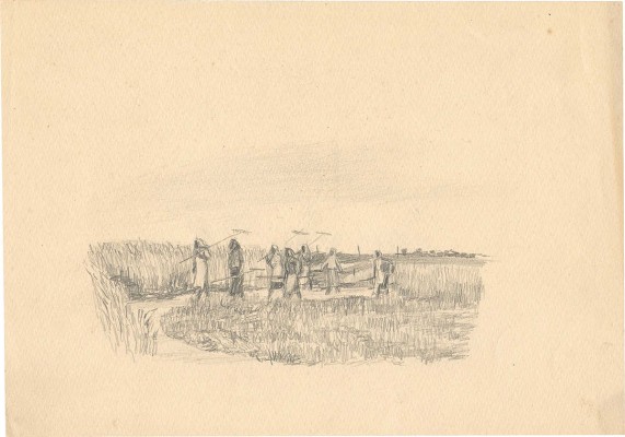 Кострова Анна Александровна. Жатва